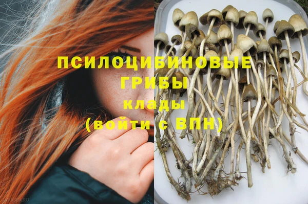 тгк Абинск