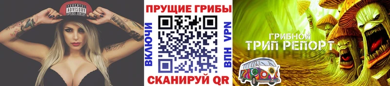 Галлюциногенные грибы Cubensis  как найти наркотики  Хабаровск 